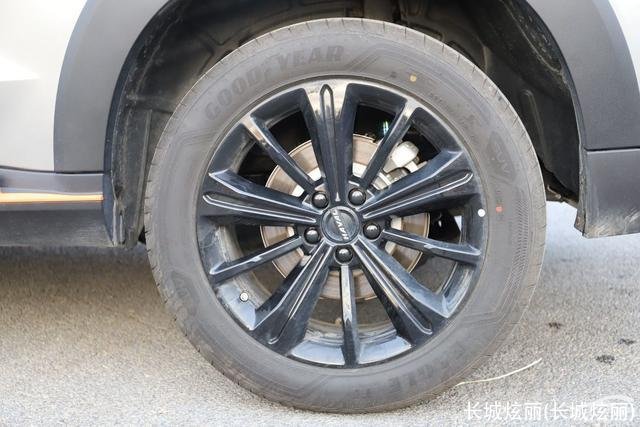 长城炫丽(长城炫丽)