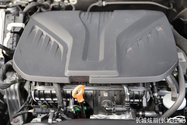 长城炫丽(长城炫丽)