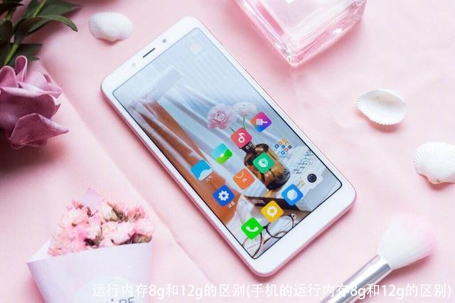 运行内存8g和12g的区别(手机的运行内存8g和12g的区别)