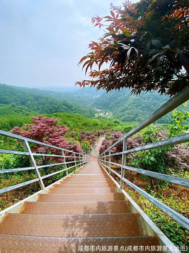 成都市内旅游景点(成都市内旅游景点地图)