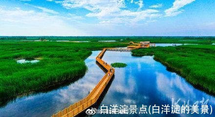 白洋淀景点(白洋淀的美景)