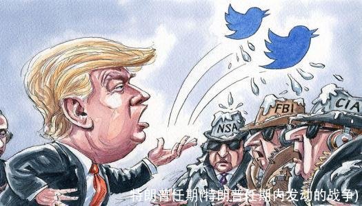 特朗普任期(特朗普任期内发动的战争)