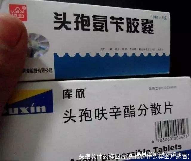 头孢长什么样图片(头孢长什么样图片感冒)