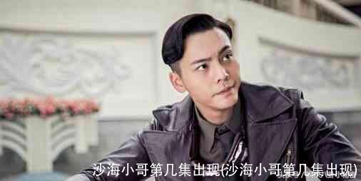 沙海小哥第几集出现(沙海小哥第几集出现)