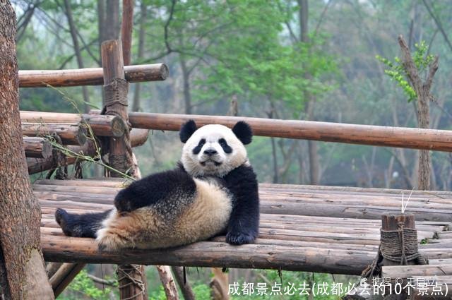 成都景点必去(成都必去的10个景点)