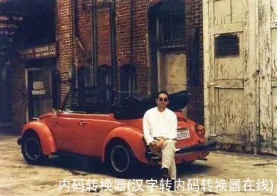 内码转换器(汉字转内码转换器在线)