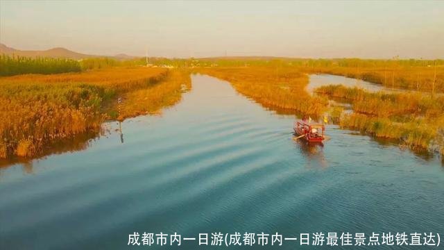 成都市内一日游(成都市内一日游最佳景点地铁直达)
