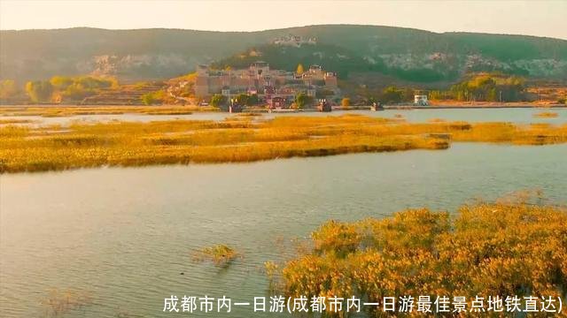 成都市内一日游(成都市内一日游最佳景点地铁直达)