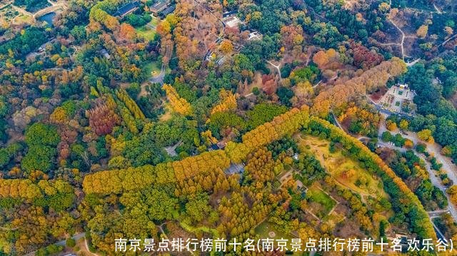 南京景点排行榜前十名(南京景点排行榜前十名 欢乐谷)