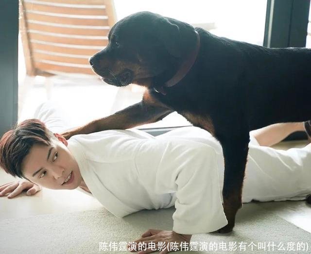 陈伟霆演的电影(陈伟霆演的电影有个叫什么度的)