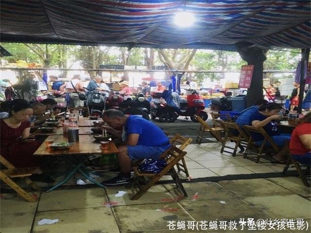 苍蝇哥(苍蝇哥救了坠楼女孩电影)