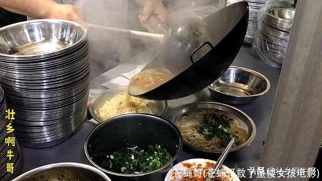 苍蝇哥(苍蝇哥救了坠楼女孩电影)