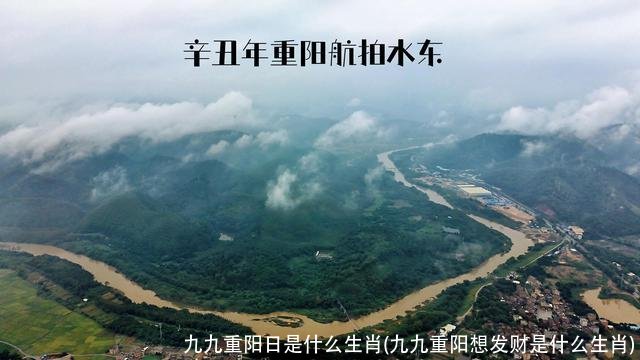 九九重阳日是什么生肖(九九重阳想发财是什么生肖)