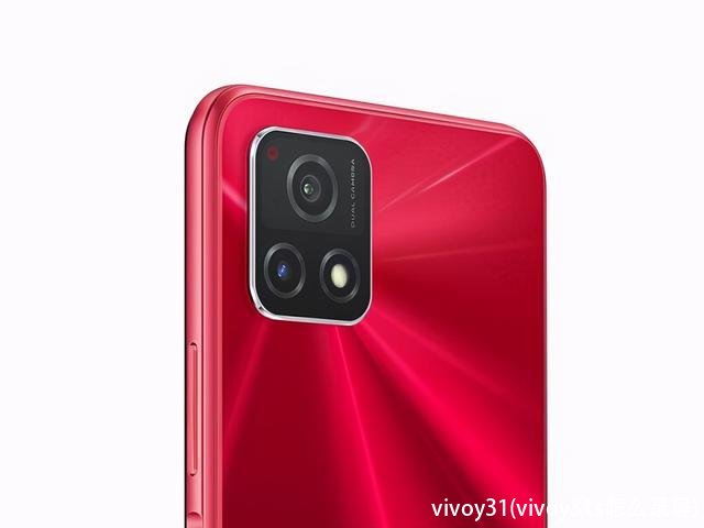 vivoy31(vivoy31s怎么录屏)