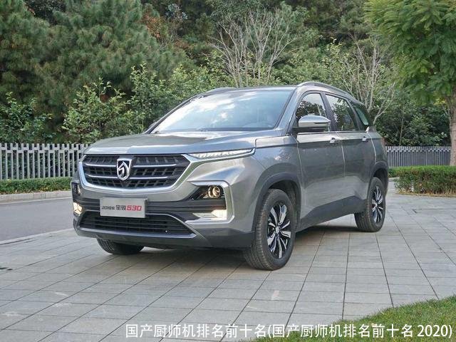 国产厨师机排名前十名(国产厨师机排名前十名 2020)