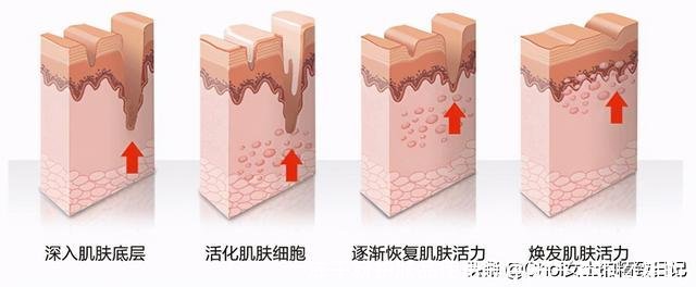 冻干粉护肤品使用顺序(冻干粉怎么用的)