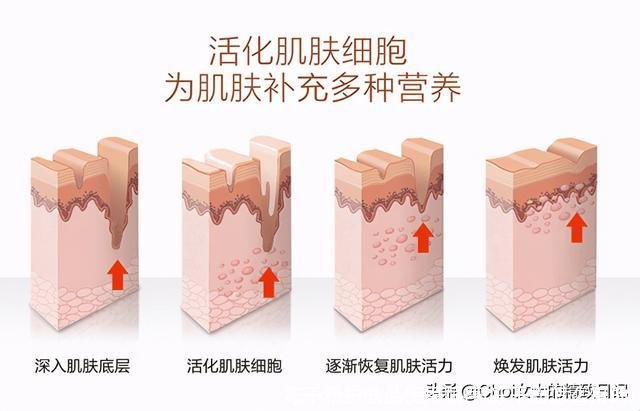 冻干粉护肤品使用顺序(冻干粉怎么用的)
