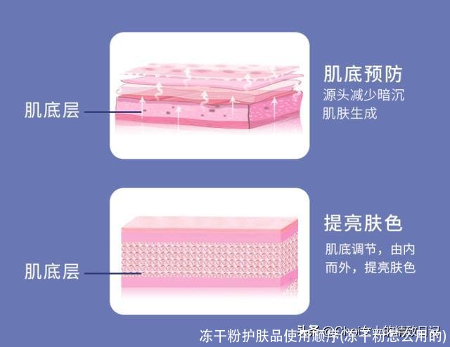 冻干粉护肤品使用顺序(冻干粉怎么用的)