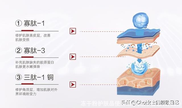 冻干粉护肤品使用顺序(冻干粉怎么用的)