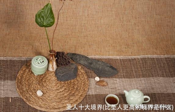 圣人十大境界(比圣人更高的境界是什么)