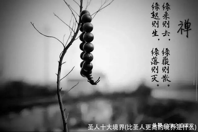 圣人十大境界(比圣人更高的境界是什么)