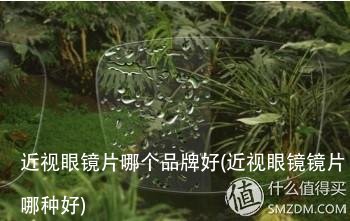 近视眼镜片哪个品牌好(近视眼镜镜片哪种好)