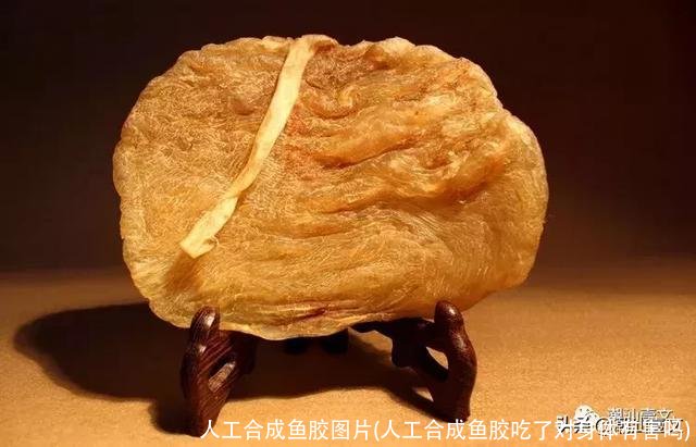 人工合成鱼胶图片(人工合成鱼胶吃了对身体有害吗)