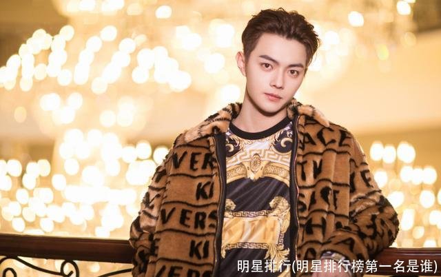 明星排行(明星排行榜第一名是谁)