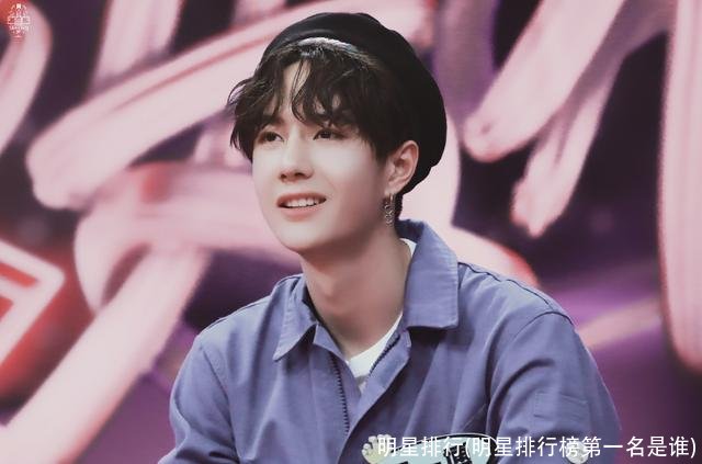 明星排行(明星排行榜第一名是谁)