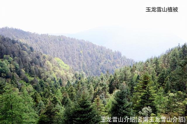 玉龙雪山介绍(云南玉龙雪山介绍)