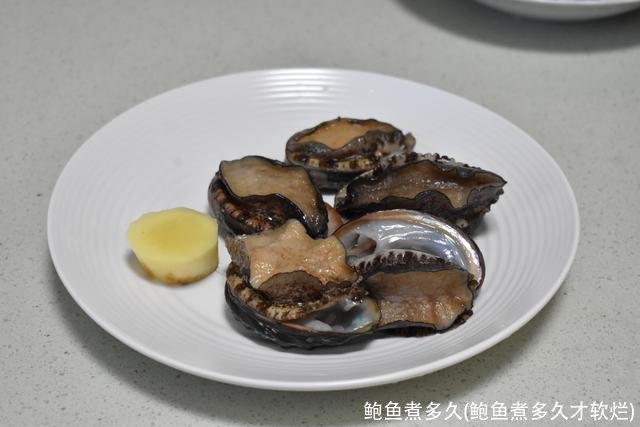 鲍鱼煮多久(鲍鱼煮多久才软烂)