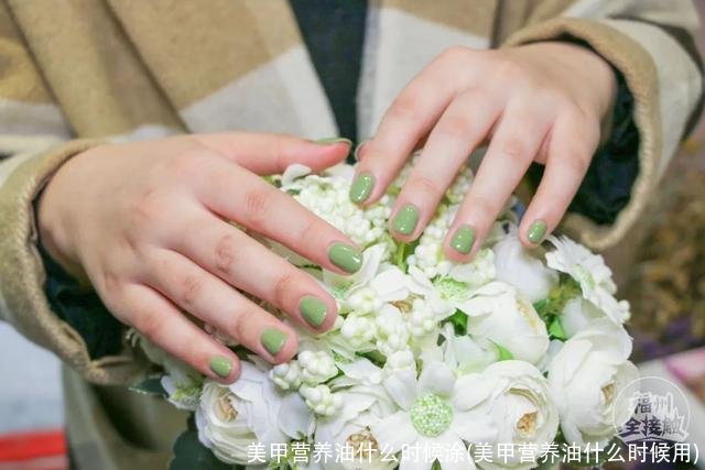 美甲营养油什么时候涂(美甲营养油什么时候用)