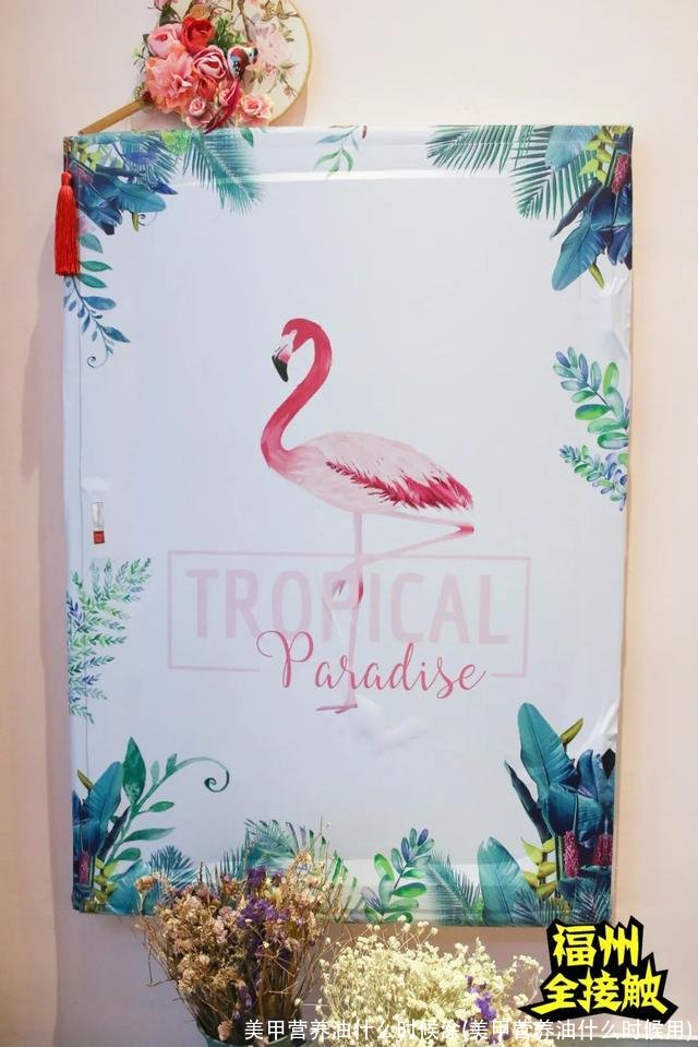 美甲营养油什么时候涂(美甲营养油什么时候用)