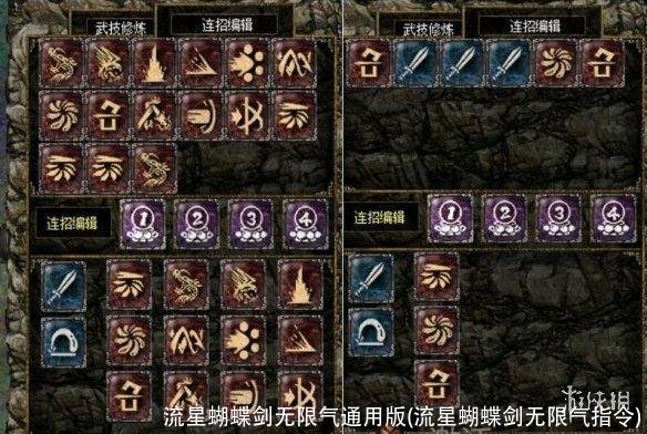 流星蝴蝶剑无限气通用版(流星蝴蝶剑无限气指令)
