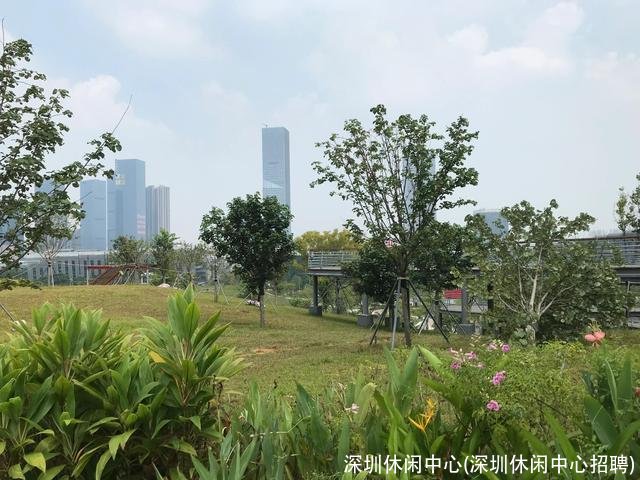 深圳休闲中心(深圳休闲中心招聘)