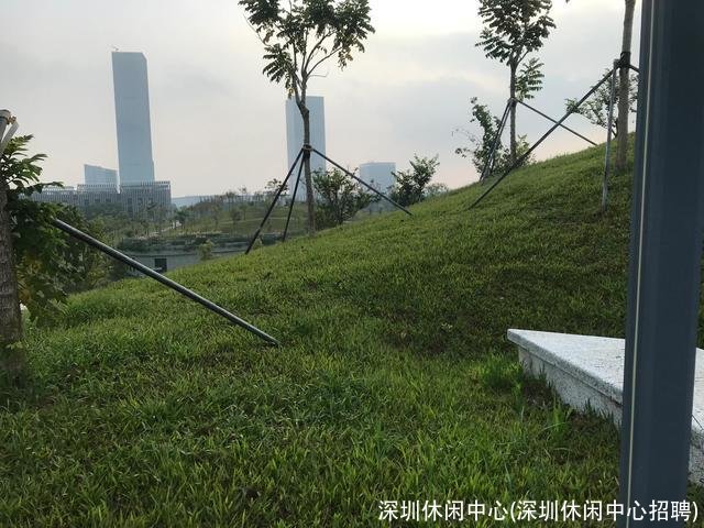 深圳休闲中心(深圳休闲中心招聘)