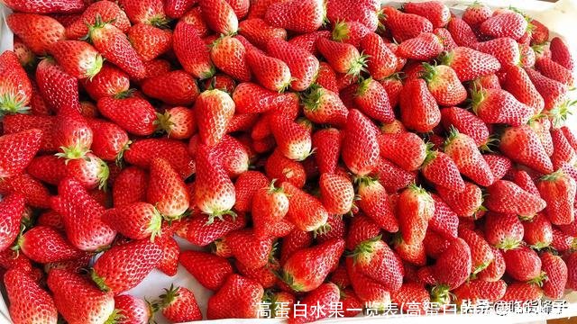 高蛋白水果一览表(高蛋白的蔬菜和水果)