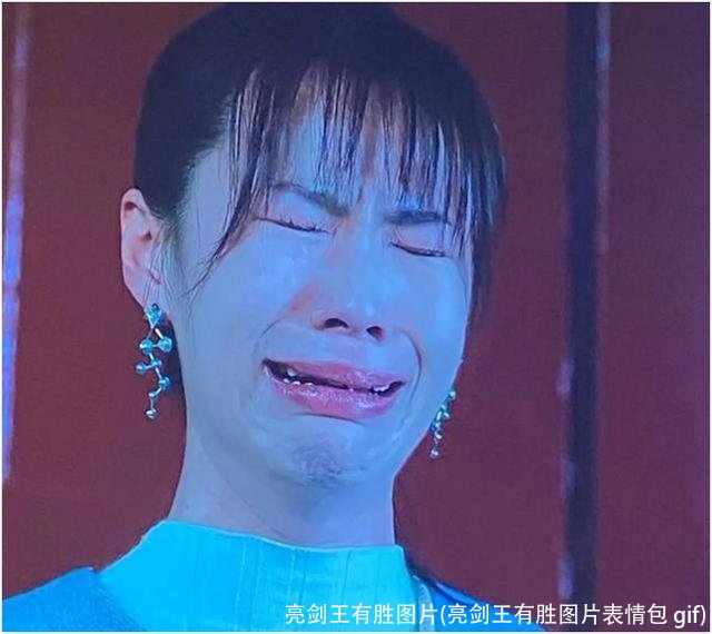 亮剑王有胜图片(亮剑王有胜图片表情包 gif)