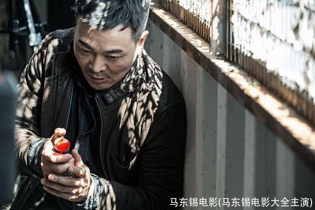 马东锡电影(马东锡电影大全主演)