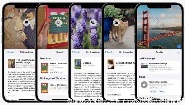 微信ios勿扰模式没有了(ios勿扰模式微信语音)