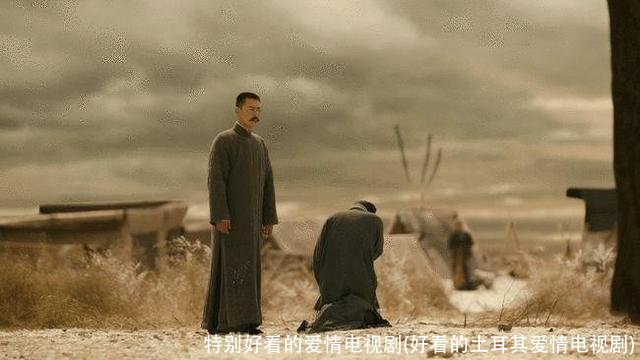 特别好看的爱情电视剧(好看的土耳其爱情电视剧)