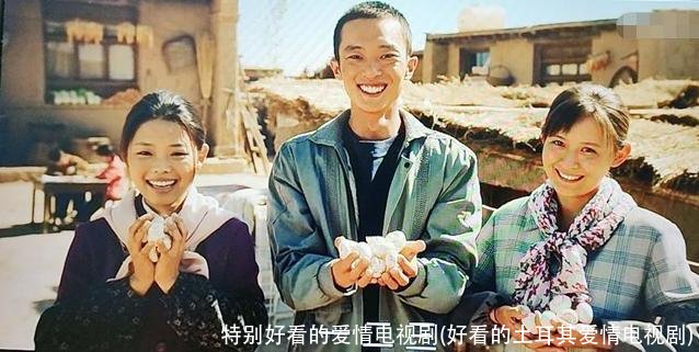 特别好看的爱情电视剧(好看的土耳其爱情电视剧)