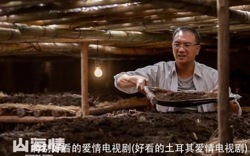 特别好看的爱情电视剧(好看的土耳其爱情电视剧)