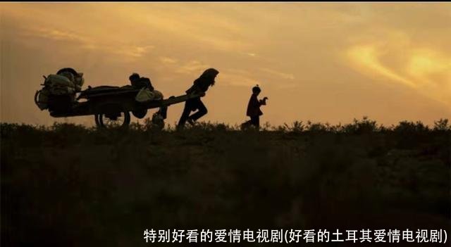 特别好看的爱情电视剧(好看的土耳其爱情电视剧)