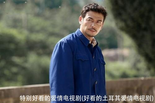 特别好看的爱情电视剧(好看的土耳其爱情电视剧)