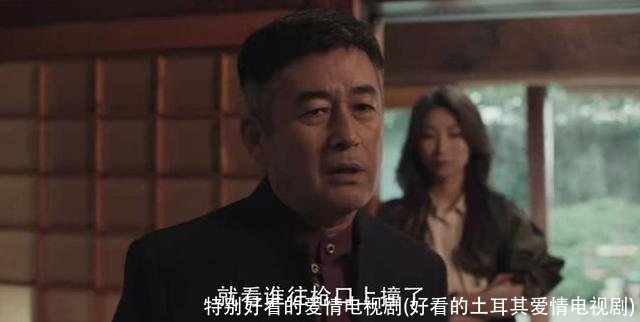 特别好看的爱情电视剧(好看的土耳其爱情电视剧)