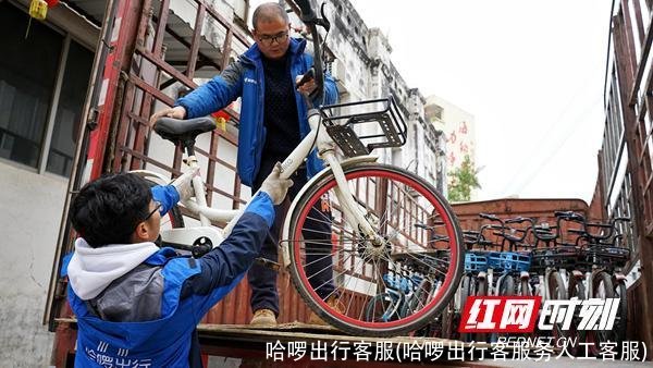 哈啰出行客服(哈啰出行客服务人工客服)