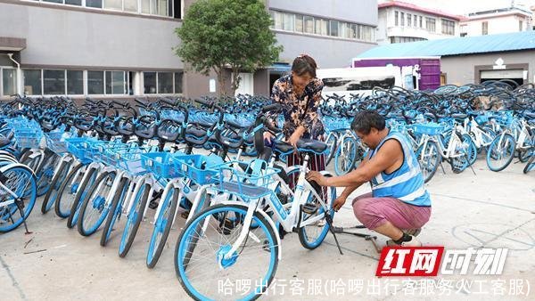 哈啰出行客服(哈啰出行客服务人工客服)