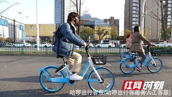 哈啰出行客服(哈啰出行客服务人工客服)
