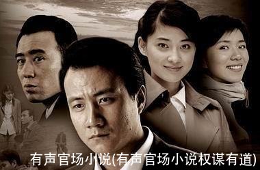 有声官场小说(有声官场小说权谋有道)